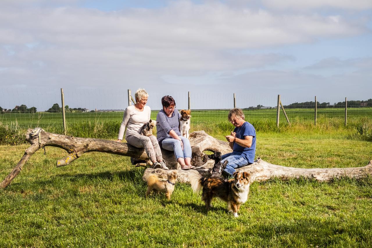 Hotel Pharisäerhof- Nordseeurlaub mit Hund Nordstrand Exterior foto